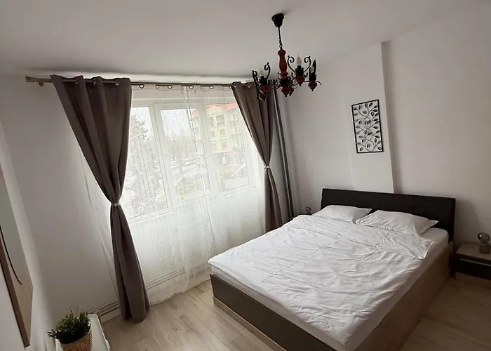 Apartment Piata Victoriei Timisoara