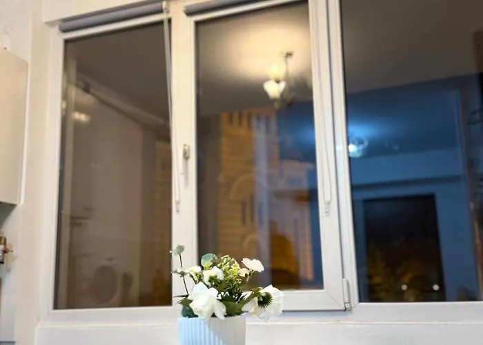 Piata Victoriei * Timisoara