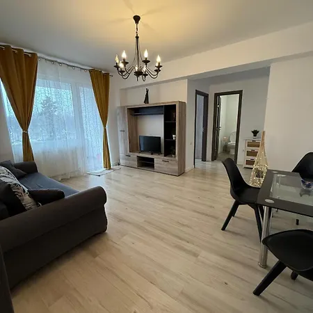 Apartment Piata Victoriei *